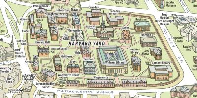 Harta e universitetit të Harvardit